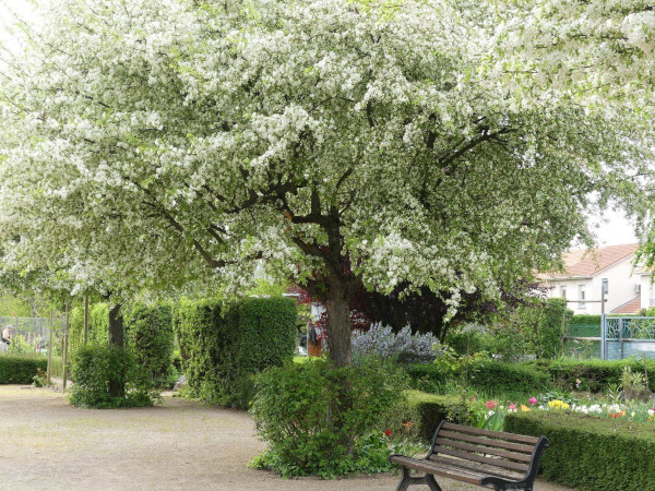 © Jardins familiaux Les 4 Saisons